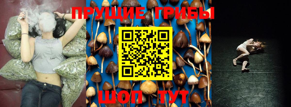 Галлюциногенные грибы мухоморы  Галлюциногенные грибы MAGIC MUSHROOMS  Новоалтайск  Вход с VPN 