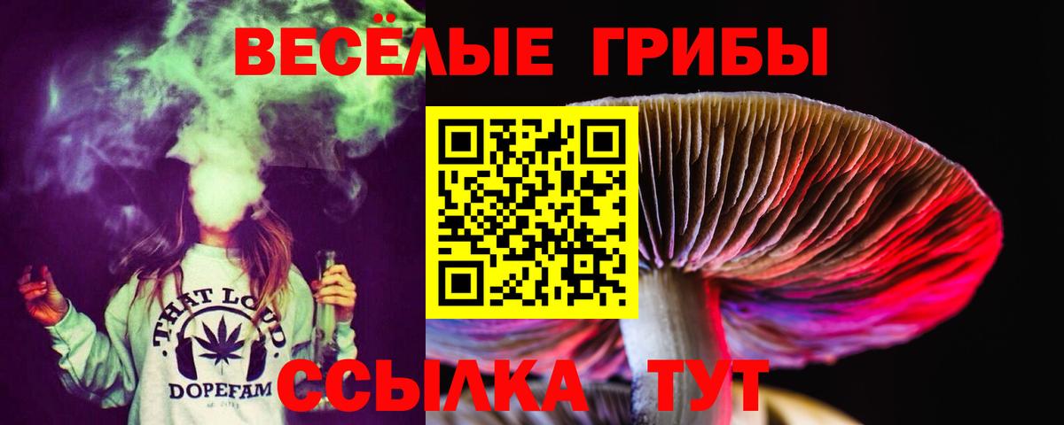 Псилоцибиновые грибы Cubensis Новоалтайск